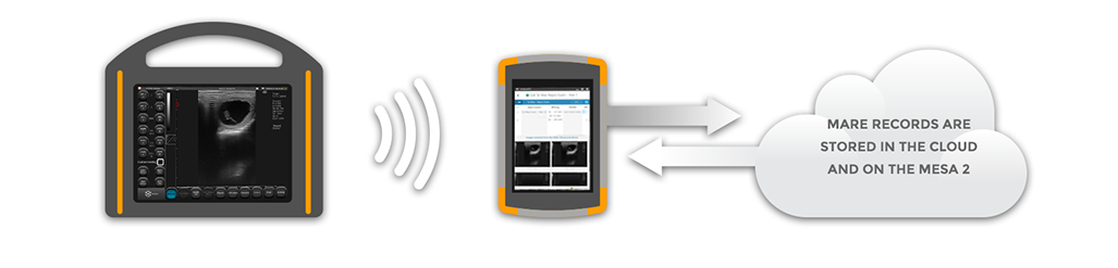Transfer Data Graphic