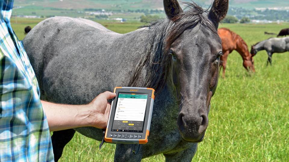 Man standing next to a horse using Mesa and Uinta to take notes about the horse standing next to him
