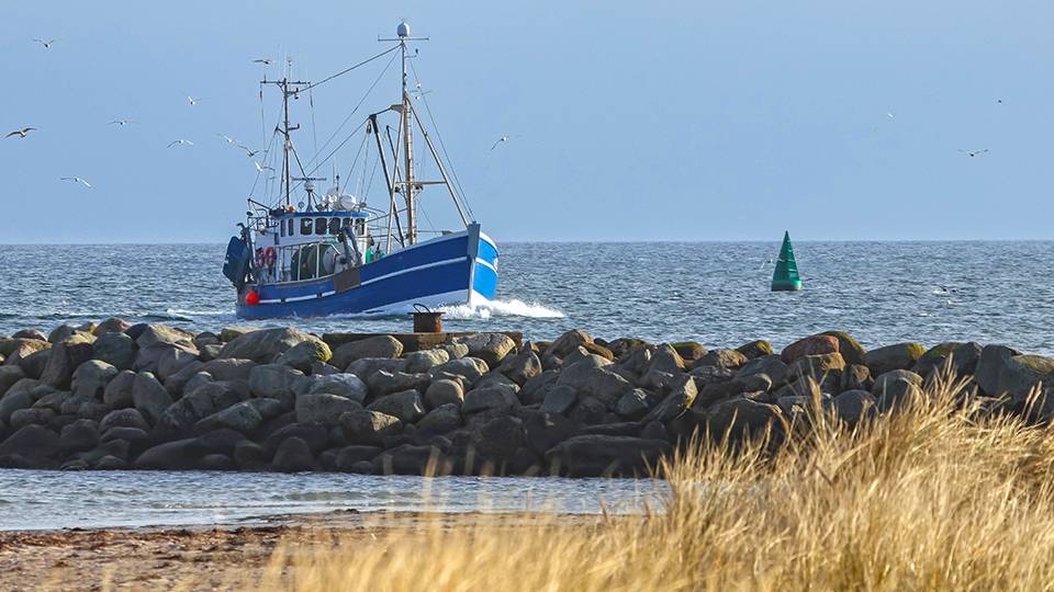Blue boat appraching a coastal harbor
